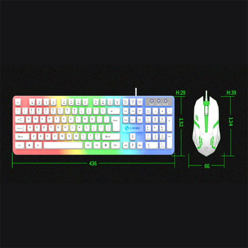 Illuminated keyboard & Mouse