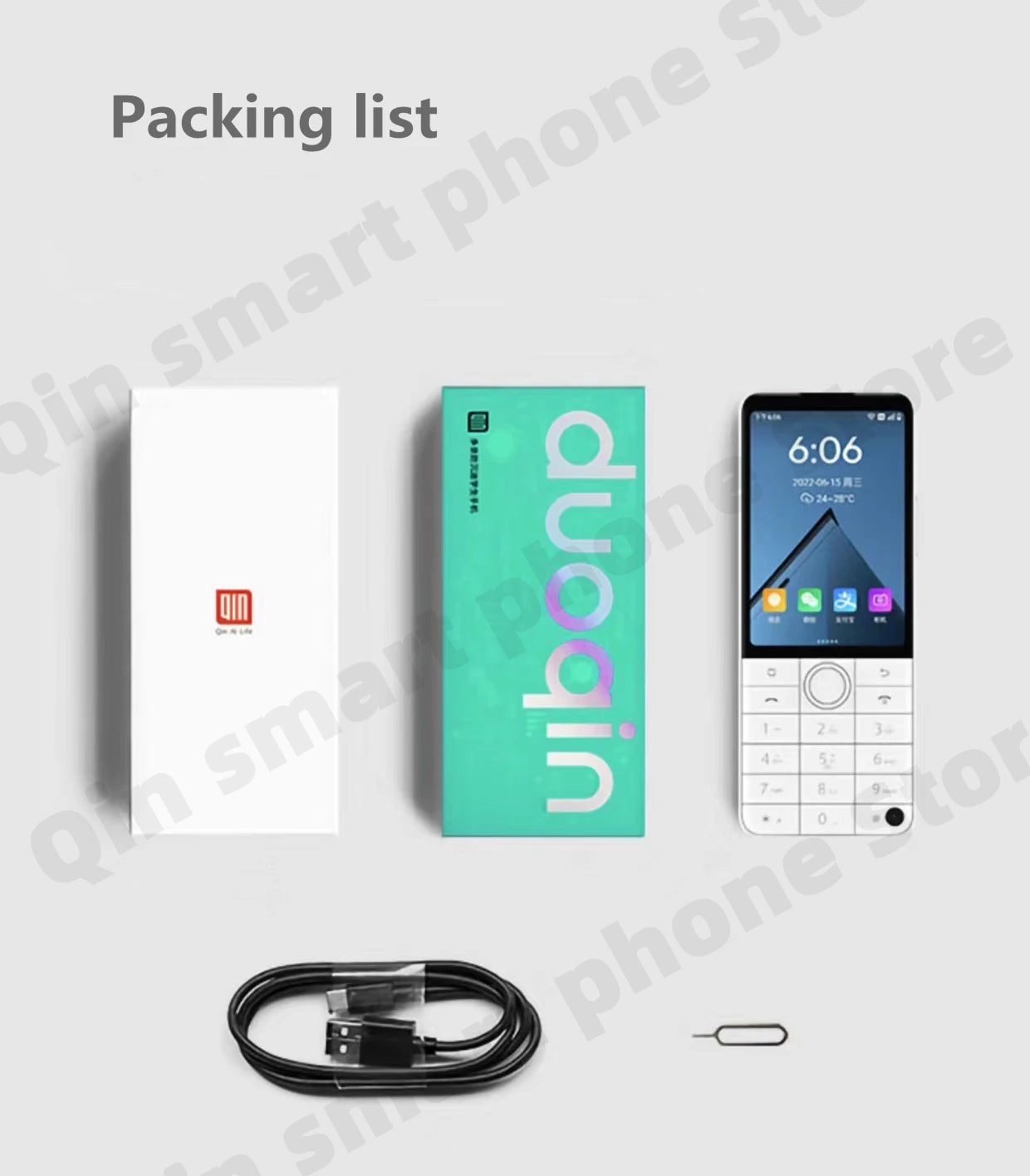 Qin F22 Pro Smart Touch Screen Phone