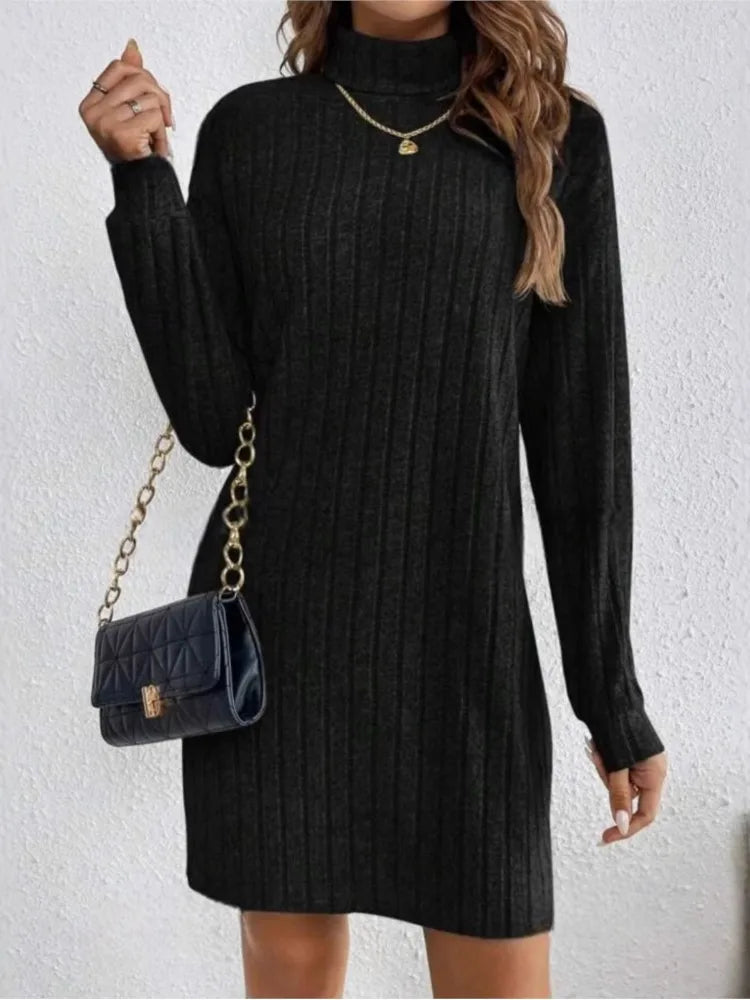 Casual Trutleneck Long Sleeve Dress