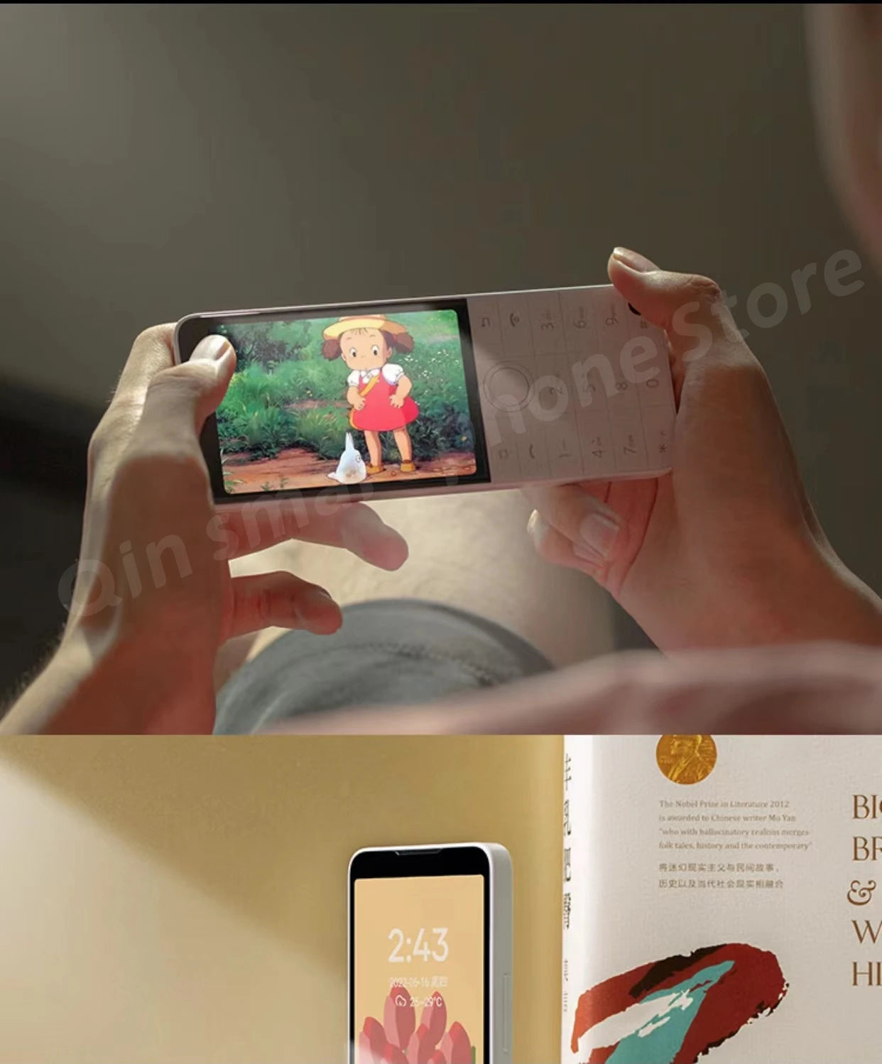 Qin F22 Pro Smart Touch Screen Phone