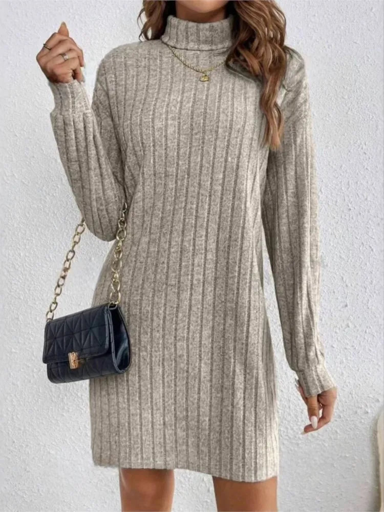 Casual Trutleneck Long Sleeve Dress