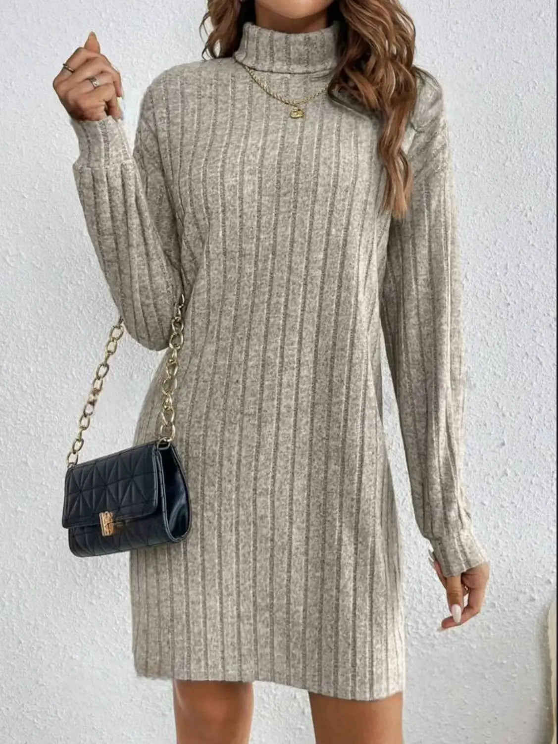 Casual Trutleneck Long Sleeve Dress
