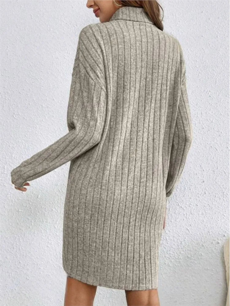 Casual Trutleneck Long Sleeve Dress
