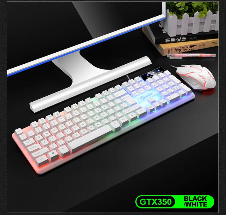 Illuminated keyboard & Mouse