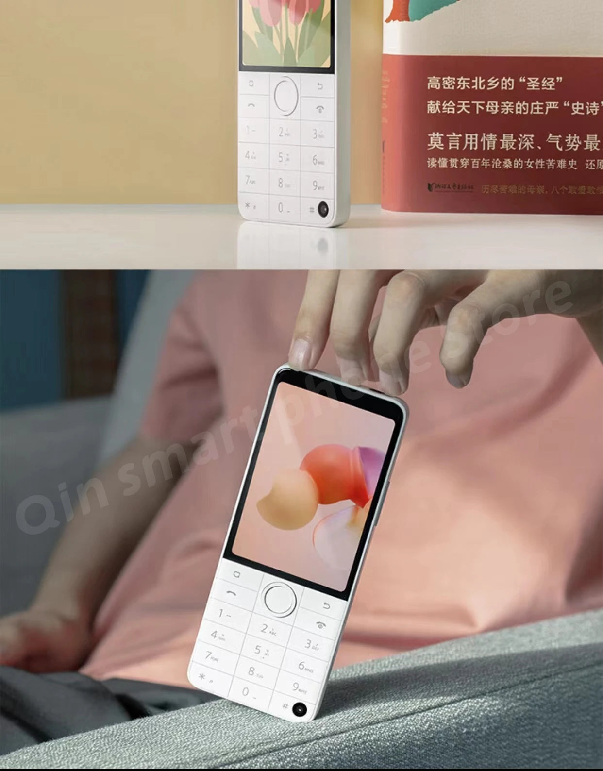 Qin F22 Pro Smart Touch Screen Phone