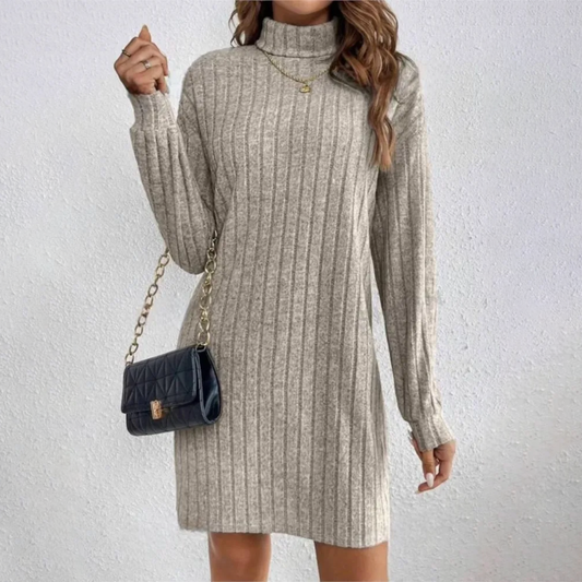 Casual Trutleneck Long Sleeve Dress